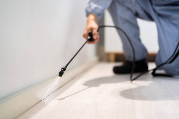 Licensed Termite Control service in Healdton, OK - Nex Pest Control
