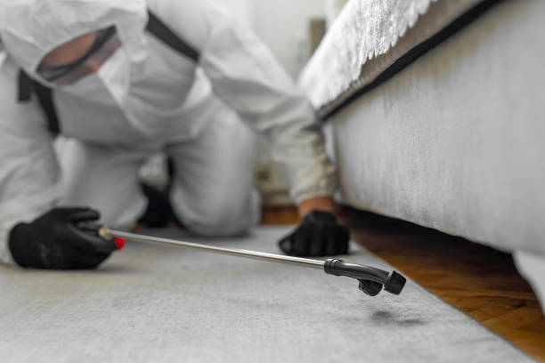 Professional Termite Control technician working in Healdton, OK