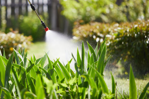 24/7 Emergency Termite Control experts in Healdton, OK