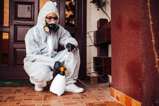 Reliable Termite Control contractor in Healdton, OK by Nex Pest Control